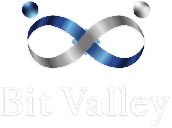 Bit Valley